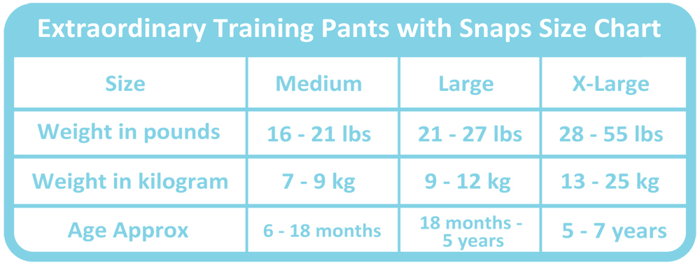 Charlie Banana 2 in 1 Swim Diaper/Training Pants Medium Malibu