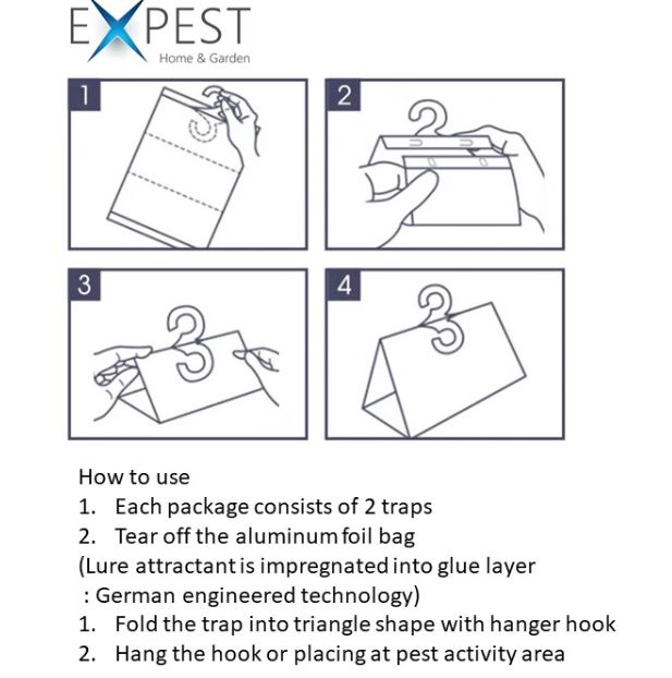 Buy Expestasia Lizard Smart Trap [Bundle of 5 packs: 45 Traps