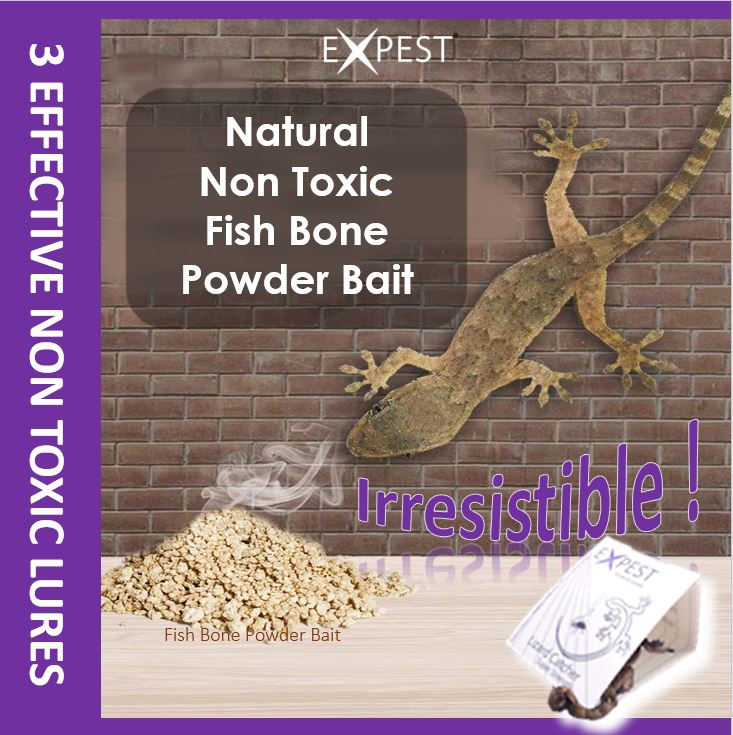 Buy Expestasia Lizard Smart Trap [Bundle of 5 packs: 45 Traps