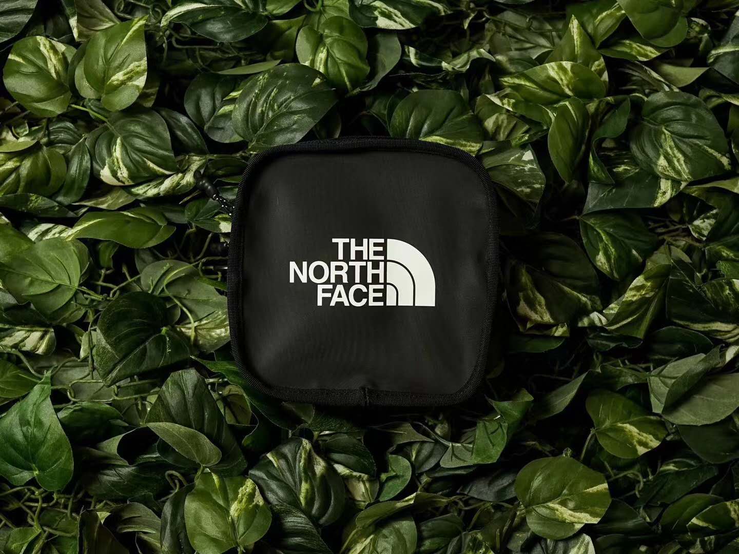 欲しいの THE NORTH FACE Explore BC Guitar Case eurocursions.com