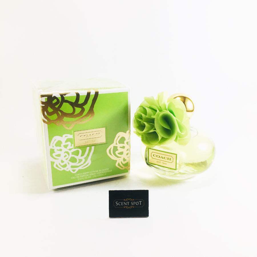 coach poppy green perfume