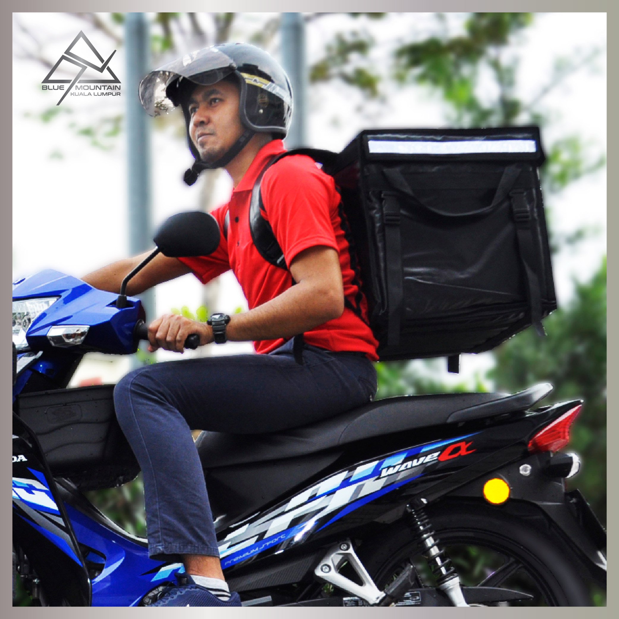 Motorcycle delivery bag online