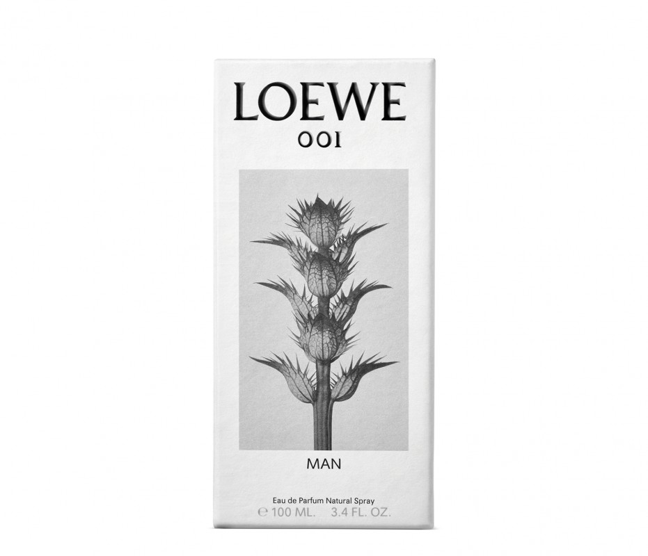 loewe 001 men