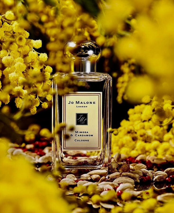 jo malone mimosa review