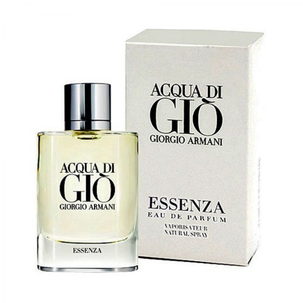 Giorgio Armani Acqua Di Gio Men Perfume 