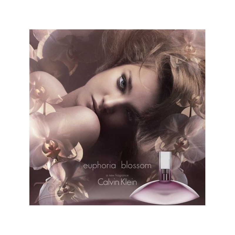 blossom calvin klein perfume