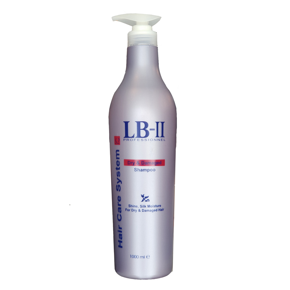 Buy Lb Ii Hair Care S2 Dry Damaged Hair Shampoo Eromman