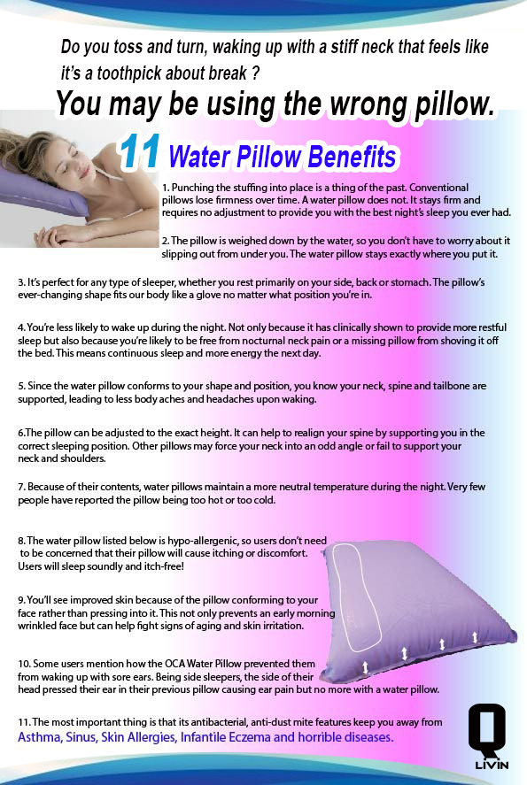 Buy Evogadgets OCA Aqua Pillow Water Pillow Online eRomman